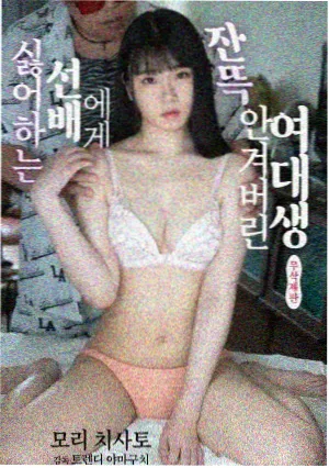 韩剧高清在线观看免费 - 信号